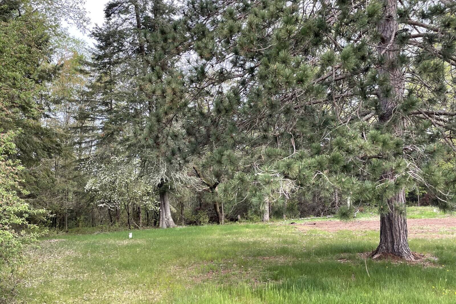 Home Masterjohn Realty and Appraisals, Inc. Serving Northwestern